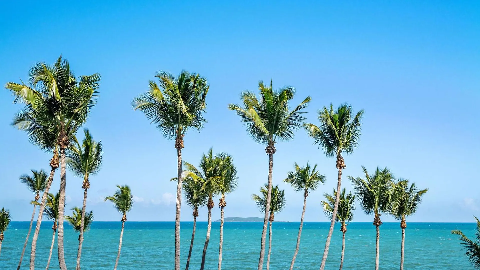 شقة Your Ocean Zen Oasis فاجاردو